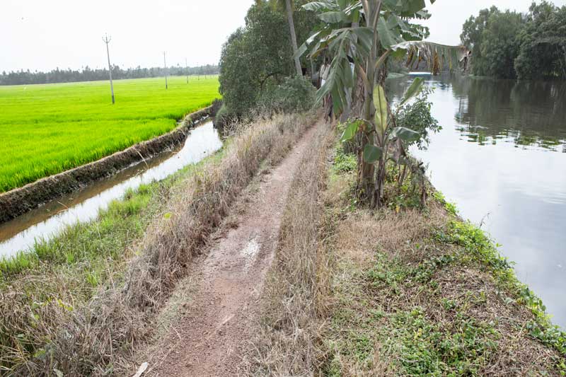 Agriculture below the Sea Level in Kuttanad, Alappuzha district, Kerala - outer and inner embankments created along the banks of a channel of Pamba river for paddy cultivation